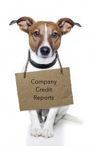 Why company credit reports are important