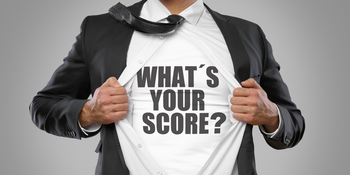 What do the credit scores mean?