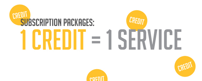 company credit report subscription packages